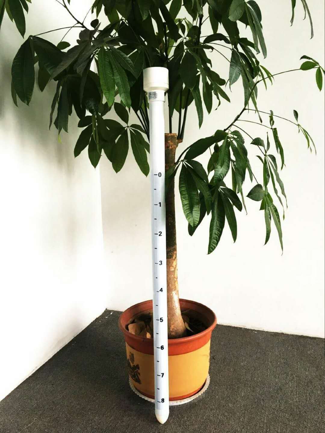 管式土壤水分記錄儀